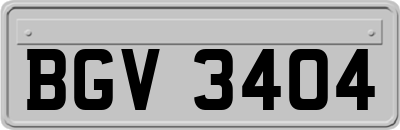 BGV3404