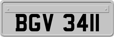 BGV3411