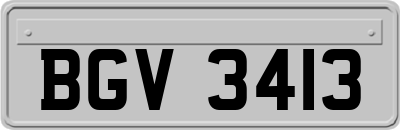 BGV3413