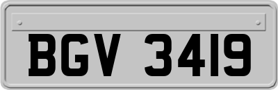 BGV3419