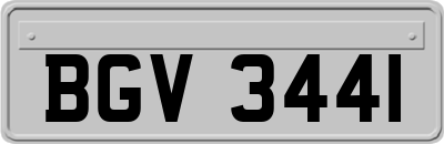 BGV3441