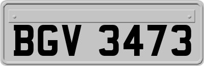 BGV3473
