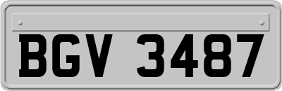 BGV3487