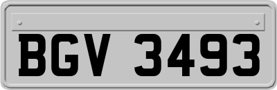 BGV3493