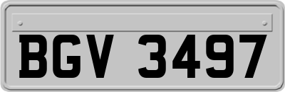 BGV3497