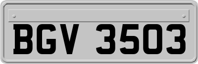 BGV3503