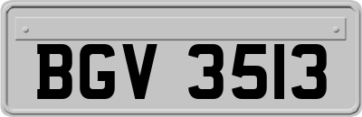 BGV3513