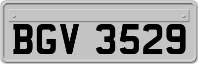 BGV3529