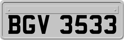 BGV3533