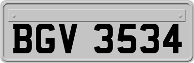 BGV3534
