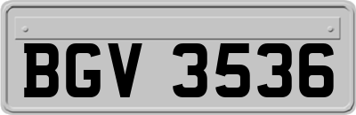 BGV3536