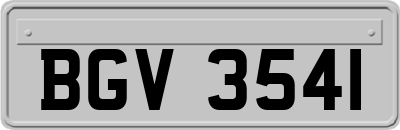 BGV3541