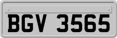 BGV3565