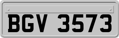 BGV3573