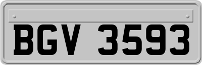 BGV3593