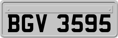 BGV3595