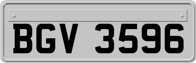 BGV3596