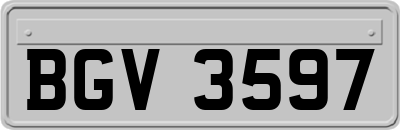 BGV3597