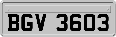 BGV3603