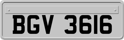 BGV3616