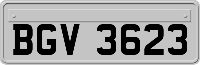 BGV3623
