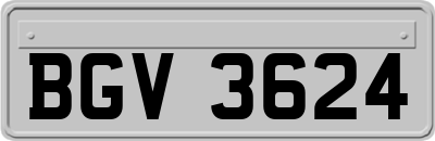 BGV3624