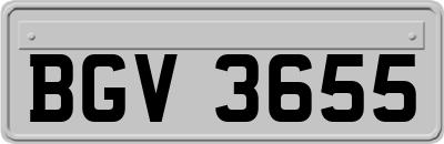 BGV3655