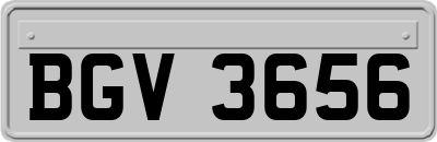 BGV3656