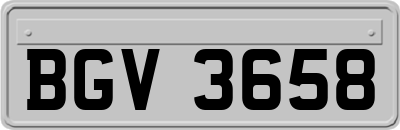 BGV3658