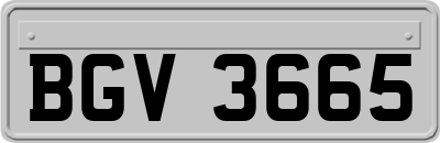 BGV3665
