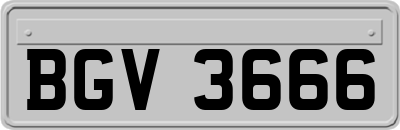 BGV3666