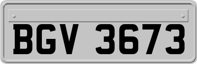 BGV3673