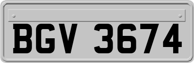 BGV3674
