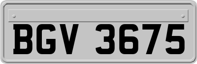 BGV3675