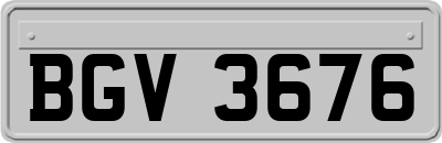 BGV3676