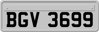 BGV3699