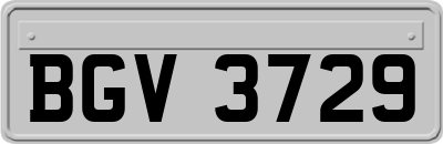 BGV3729