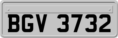 BGV3732