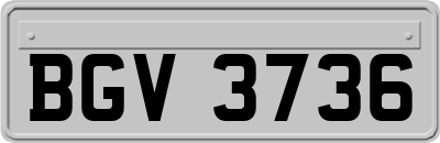 BGV3736