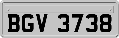 BGV3738