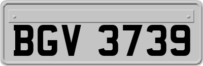 BGV3739