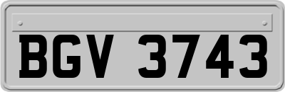 BGV3743
