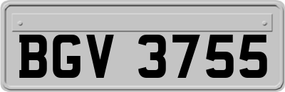 BGV3755