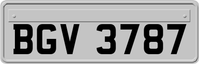 BGV3787