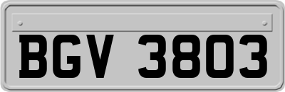 BGV3803