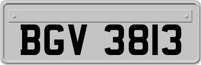 BGV3813
