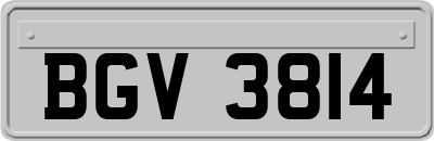 BGV3814