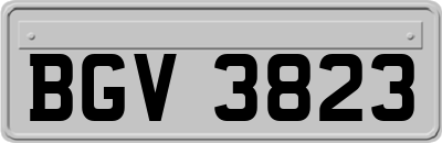 BGV3823