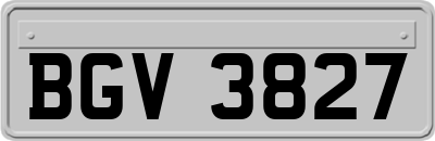 BGV3827