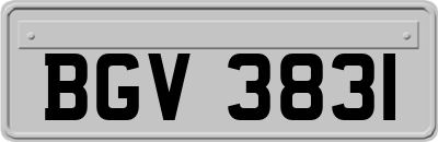 BGV3831